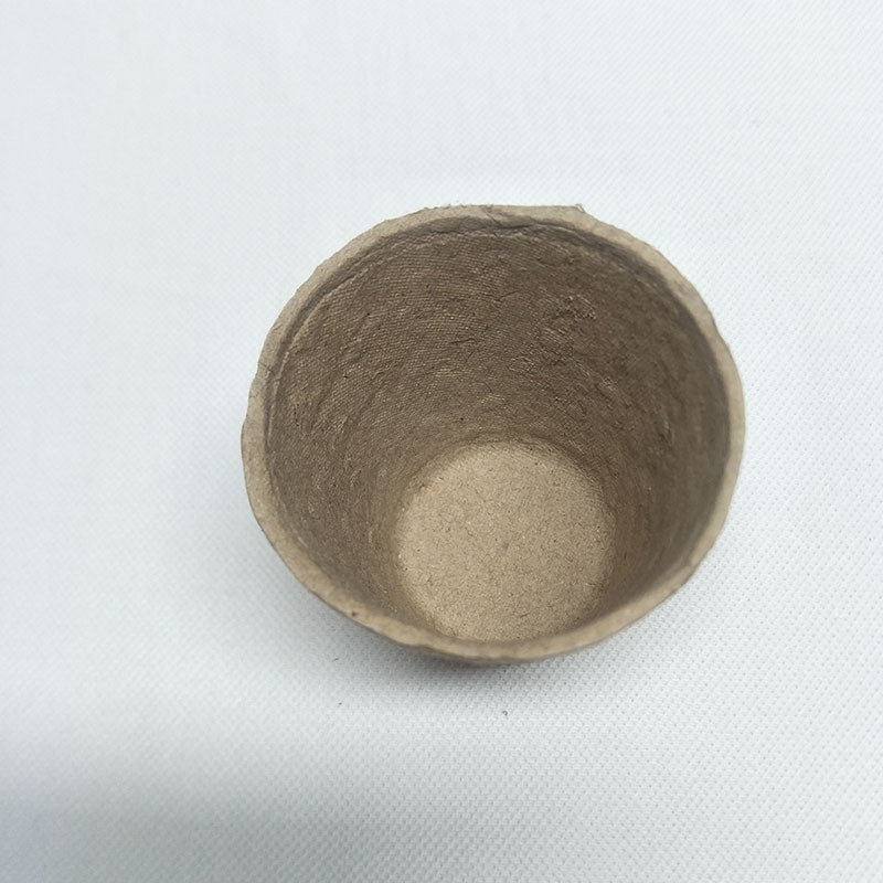 未标题-1_0001_QQ图片20190404170427