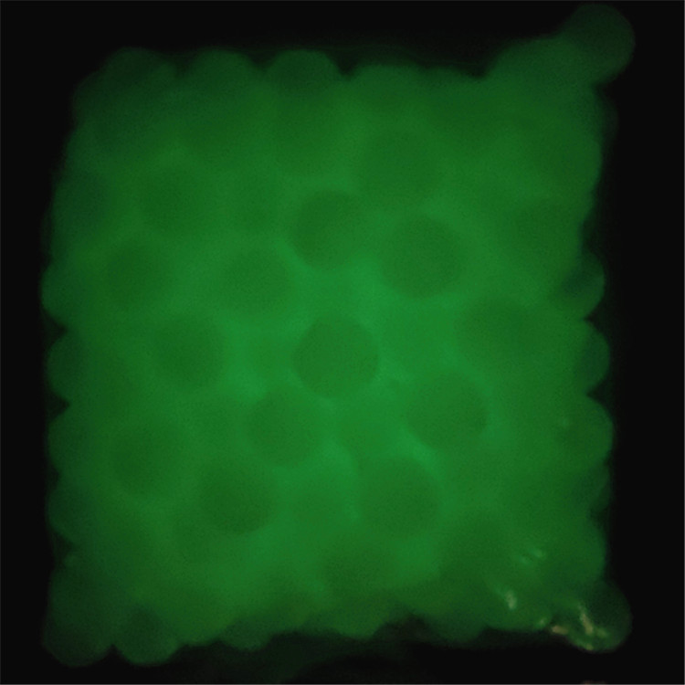 球 (4)P90317-231435