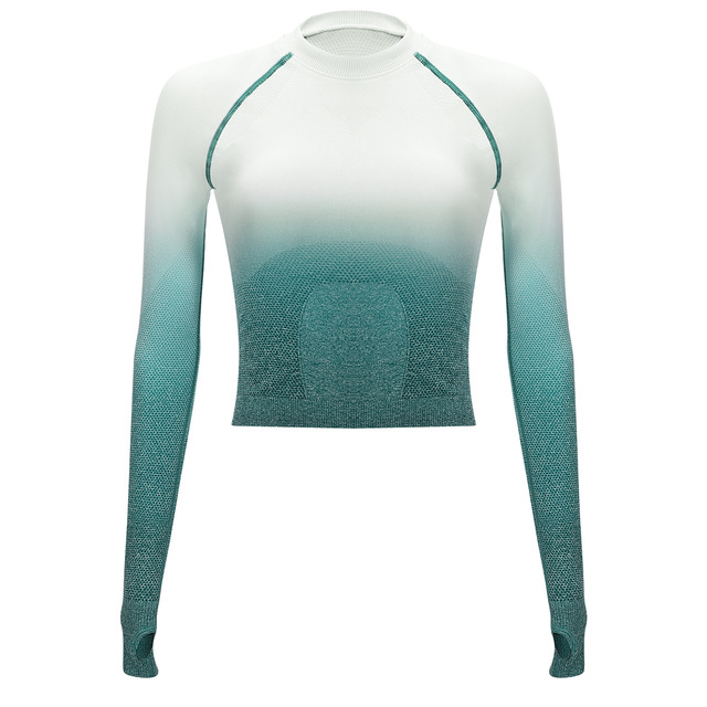 New Sports Long Sleeve Fashion Gradual Air-permeable Yoga Garment High-end Seamless Customized Euro-American Style Fitne