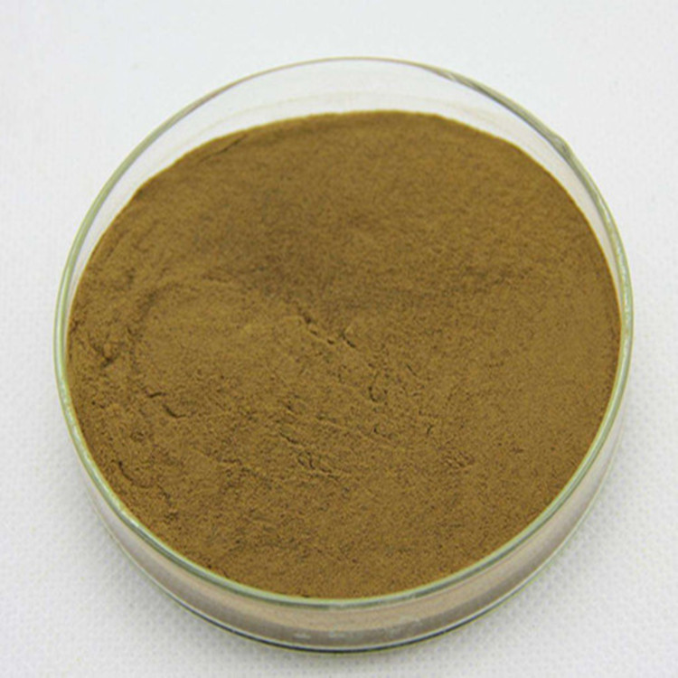 工厂供应 罗布麻提取物  1%金丝桃苷  罗布麻提取粉