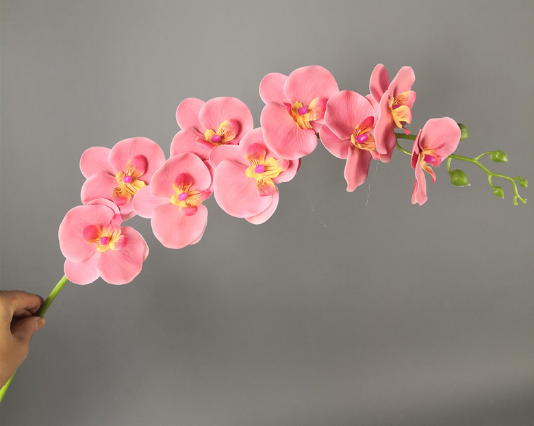 微信图片_20190928174323