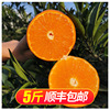 Meishan Citrus Orange Fresh fruit Shunfeng Ehime 42 Princess orange