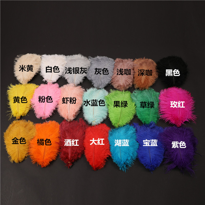 Capture One Catalog14695