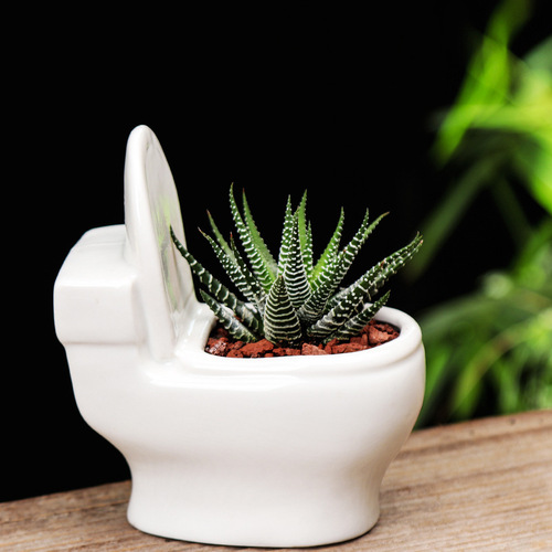 Gardening cross-border white ceramic succulent flower pot creative European balcony planting green plant small flower pot hotel flower pot