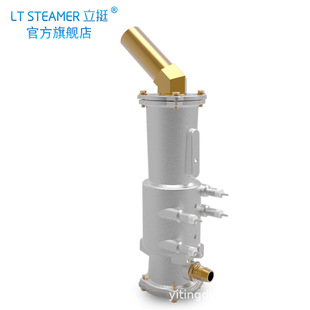 LT STEAMER Garment STEAMER Original Heating Furnace Please Consult the Model before Taking