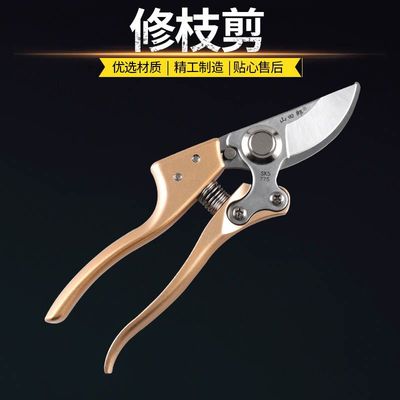 V10修枝剪SK5修枝剪园林剪花园剪修枝剪刀修枝剪 园林树枝剪刀