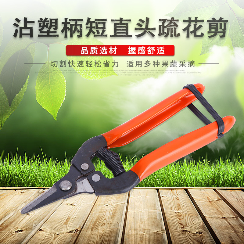 批发短直头采果剪蔬果剪 摘果剪 葡萄剪桔子剪橙子剪 果把剪 稀果