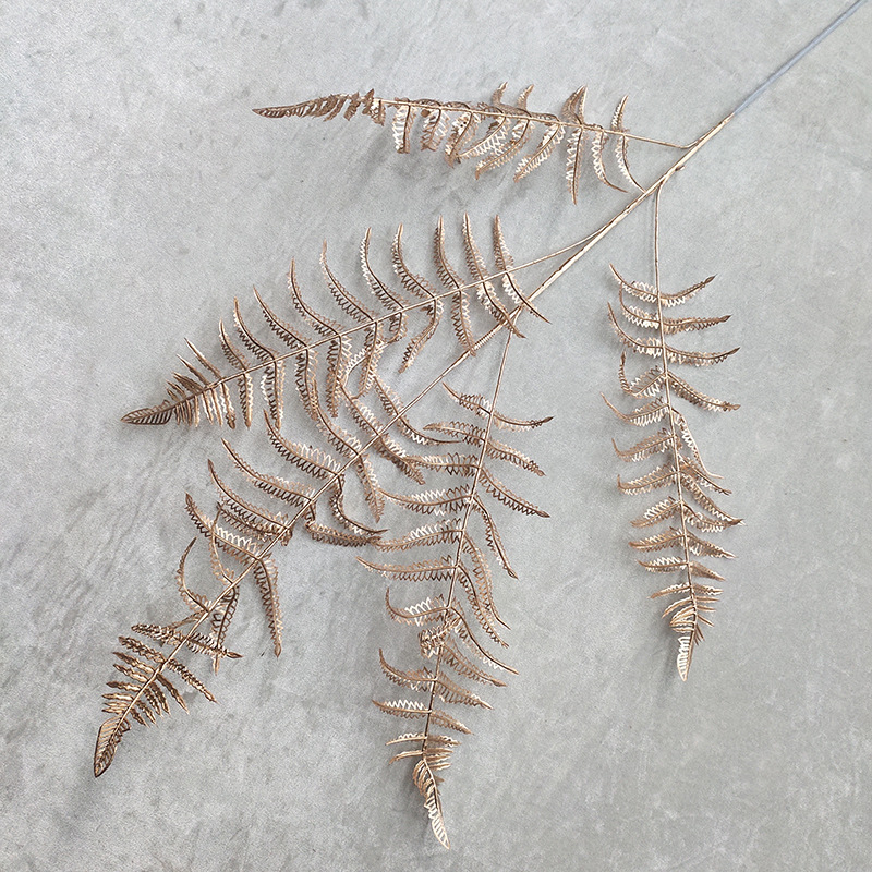 蕨叶2号 价格4.2元