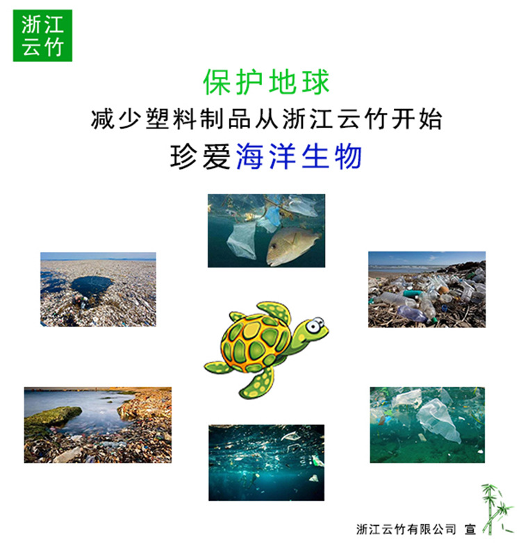 云竹3.jpg