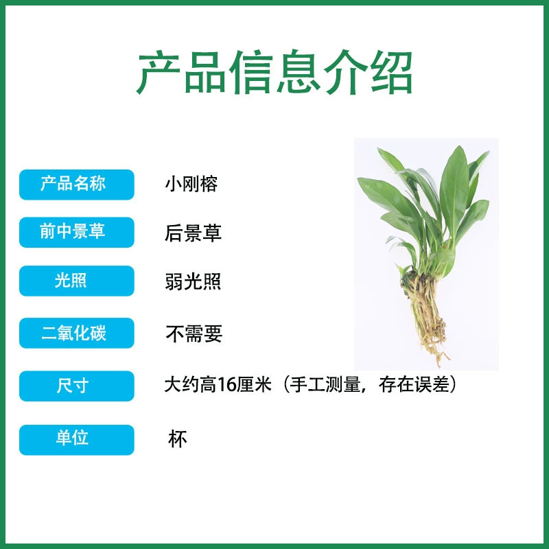 Xiaogang Rong Xiaoshi Rong Living True Water Plaza оптовый набор аквариумных сцен Lazy Little Rongluo Aquarius