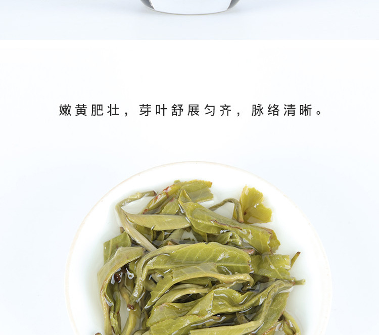 一级-高山雪龙_10