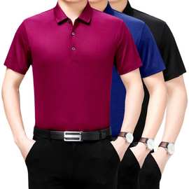 爆款2019夏装新款男士短袖T恤 时尚商务翻领桑蚕丝透气t恤男中年