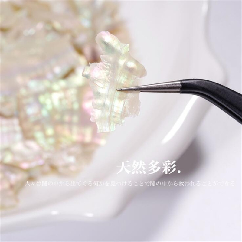 Estilo japonés joujou mismo estilo Internet celebrity nail beauty pieza de concha natural abulón grueso alto traje de joyería de uñas brillantes