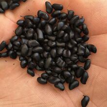 ��ȼTPE��ɫ�� ����TPE/�����Ű�/10080 �D����TPE��ɫ80�Ⱦ�����