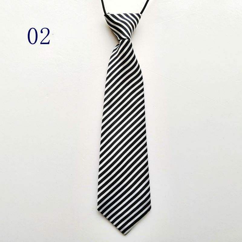 Create a new folder (bowtie) IMG_20190325_113054_