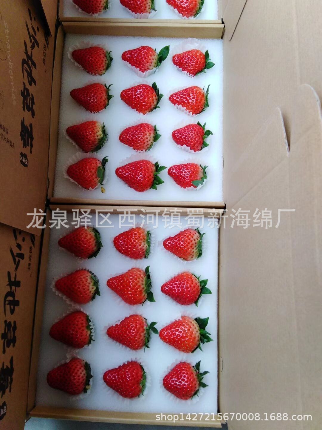 厂家直销草莓包装防震包装快递包装海绵泡沫/成型异形包装海绵