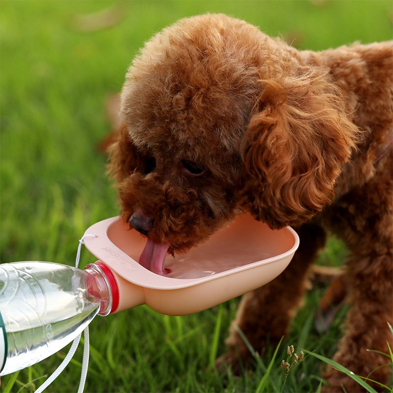Pet Supplies Wholesale New Pet Waterer Outdoor Dog Drinking Bowl Convenient Matching Mineral Water Bottle Dog Bowl
