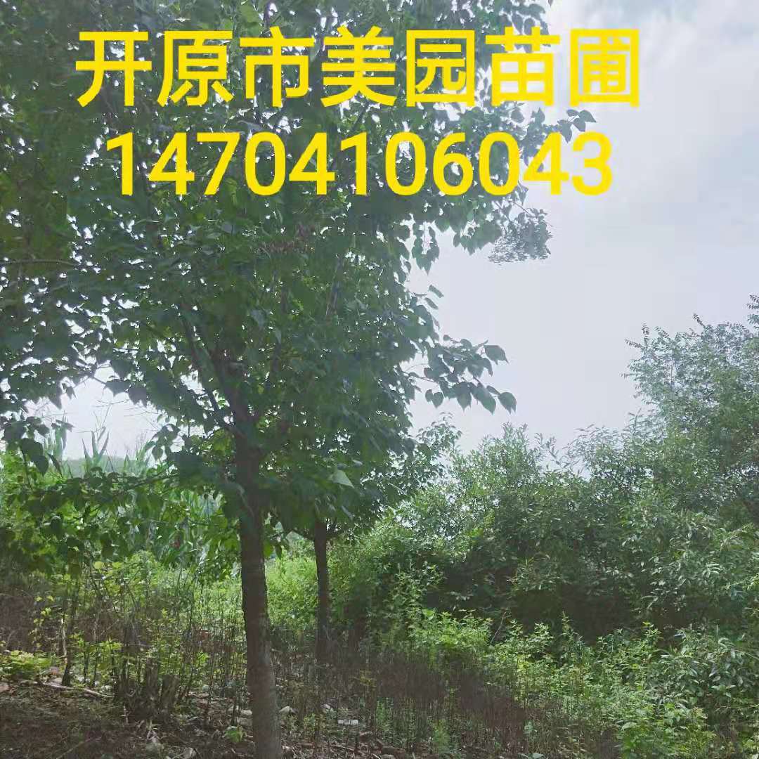 微信图片_20190923112440