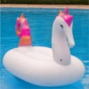Hippocampus mount