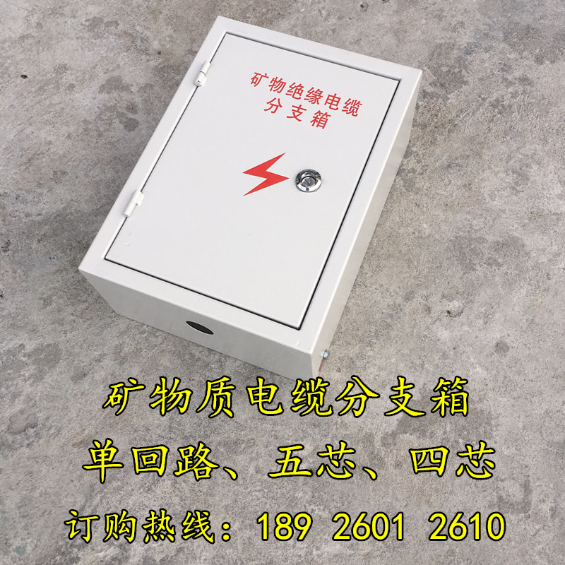 矿物质电缆分支箱BTTZ4*25分4*6防火电缆分支箱T接箱分支盒