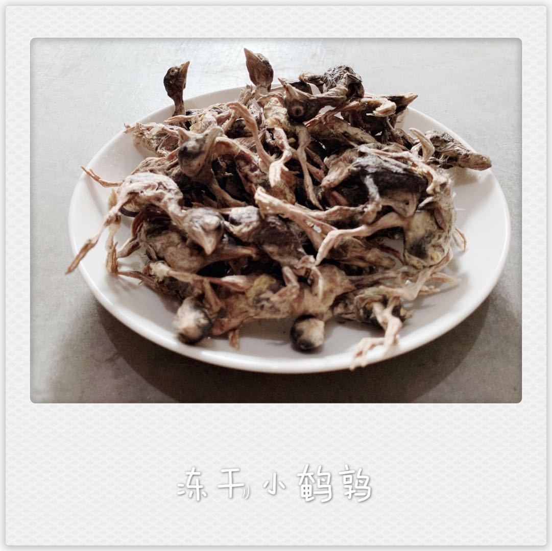 鹌鹑犬猫宠物冻干零食500g鸡肉牛肉鹿肉冻干肉泰迪加菲挑嘴零食