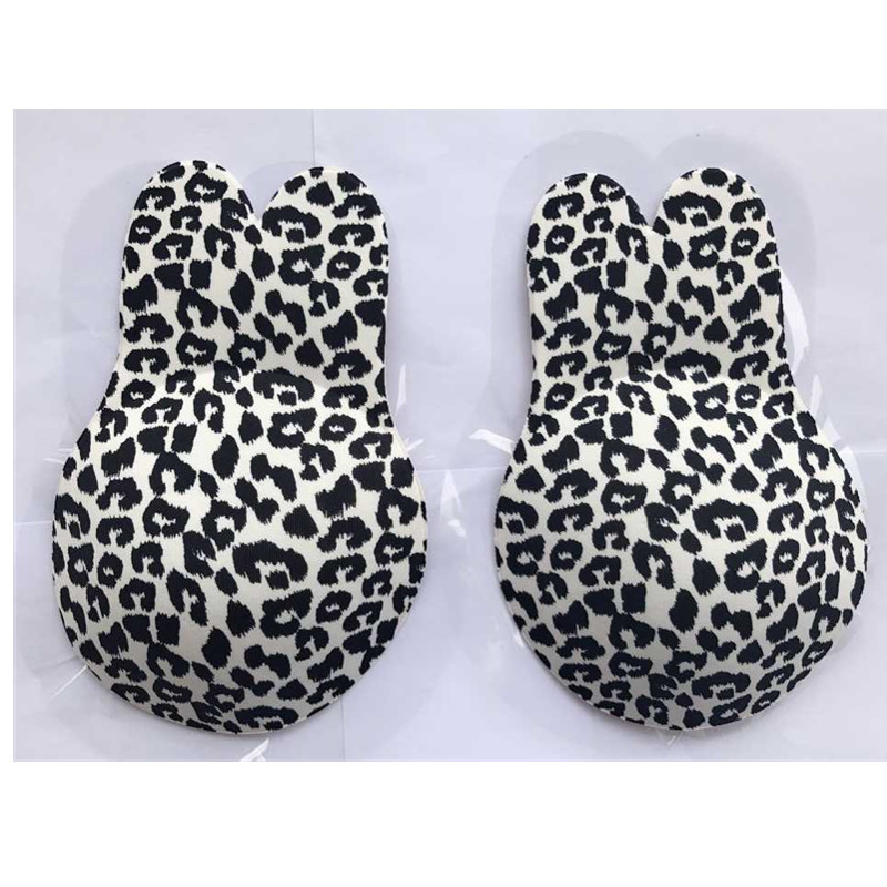 QQ图片2412161327_副本