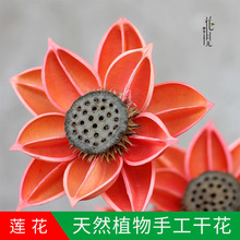 木荷花 木荷花品牌 图片 价格 木荷花批发 阿里巴巴 木荷花 木荷花品牌 图片 价格 木荷花批发 阿里巴巴