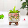 Horticultural Korean Multisani Mini Pot Zakka Ceramic Thumb Pot color hand -painted multi -meat basin