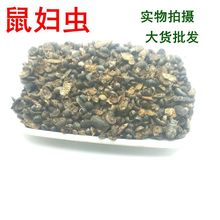 ���l�䱳����ș����D Ь���x ���x �����x ��ʭ��