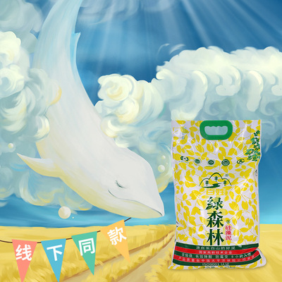 百姓绿森林硅藻泥 高效除甲醛艺术涂料线下同款 代理商专供6.25KG