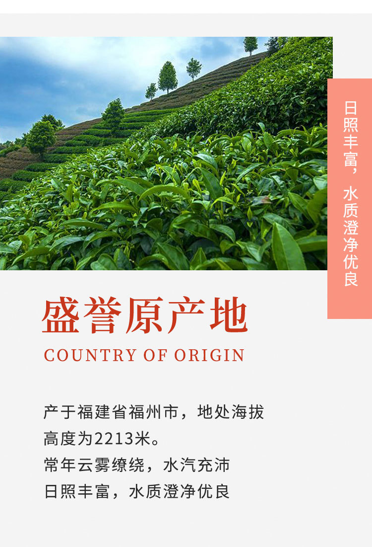 荔枝红茶_05.jpg