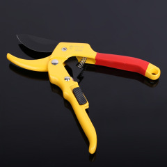 Supply Dichuang multi-specification fruit branch shears, gardening branch garden shears, pruning shears Linyi garden shears tools