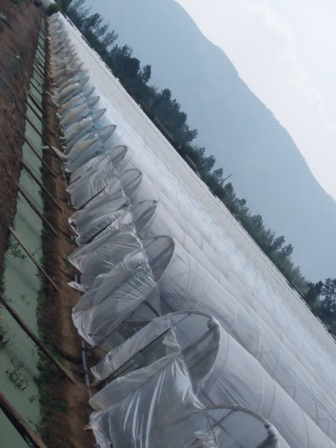 QQ图片20190531213825