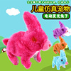 Electric toy, rabbit, wholesale, Birthday gift