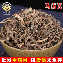 五方草 瓜子菜 马齿苋