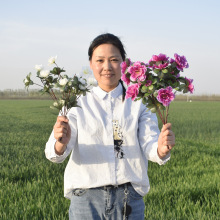 仿真杜鹃花假花塑料花学校幼儿园运动会手拿舞台舞蹈合唱表演花束