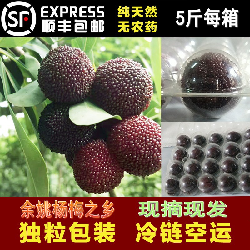 2019浙江正宗慈溪余姚楊梅新鮮水果現摘現發孕婦小孩順豐精品5斤