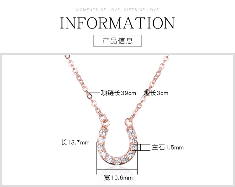 Fashion Diamond Horseshoe S925 Silver Necklace Simple Female Short Necklace Wholesale display picture 1