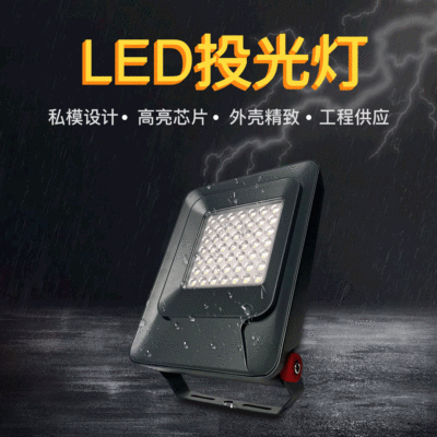 LED投光燈戶外防水投射燈LED泛光燈私模20W50W100W150W200W