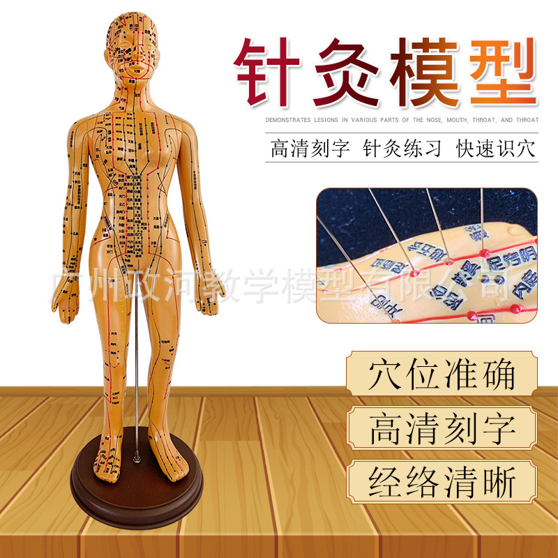 Acupuncture human body Model Main and collateral channels acupuncture bronze image chinese medicine Body points Model 48CM Women's needling