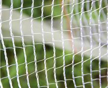 农场养殖防鸟防雀网 家禽养殖网苹果树桃树防冰雹网 防鸟网