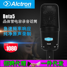 Alctron/爱克创 Beta5大振膜电容麦克风晶体管录音麦克风YY话筒