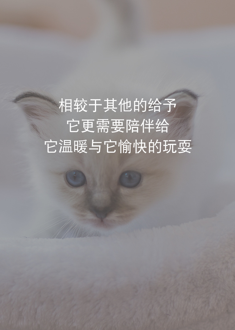 电动牙刷虫_19.jpg