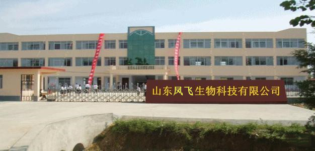 2345_image_file_copy_6_