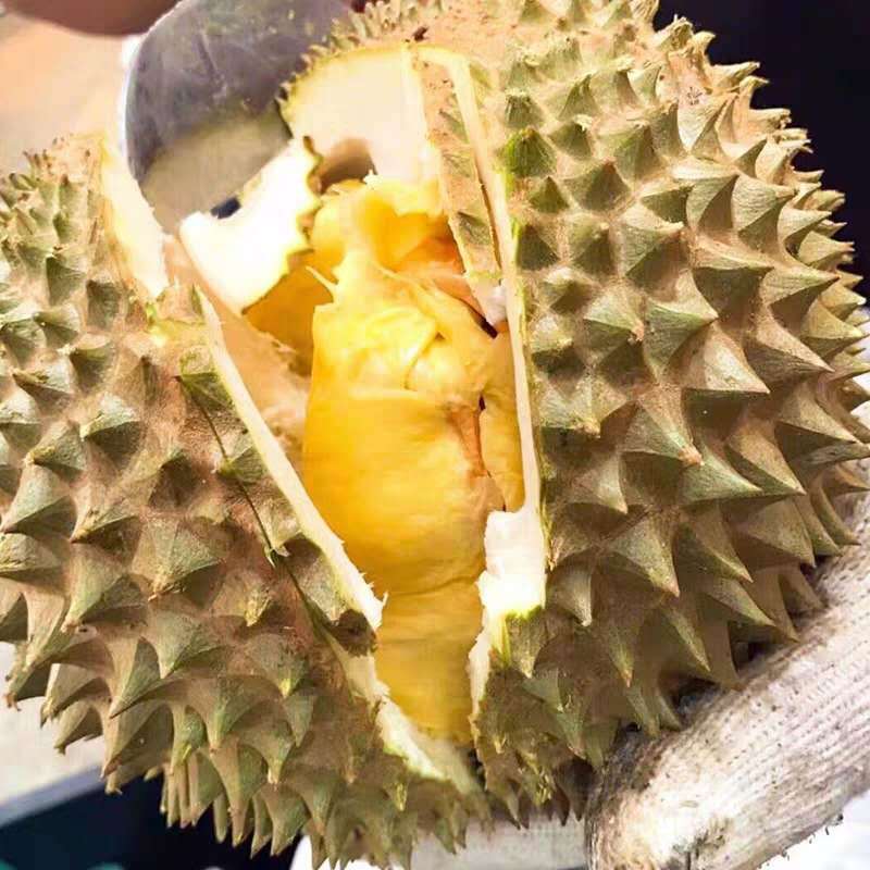 越南特价 猫山王榴莲新鲜水果现摘带壳 猫山王榴莲非金枕榴莲软糯|ru