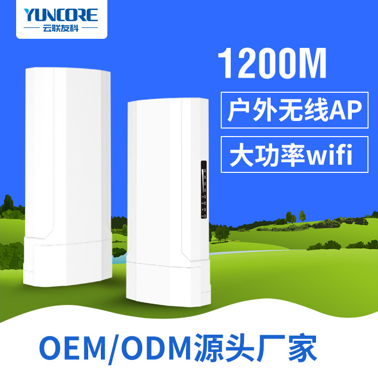 Dual Band 1200M Outdoor Wireless AP Market square hotel Campus major customized Industry AP WiFi Full coverage
