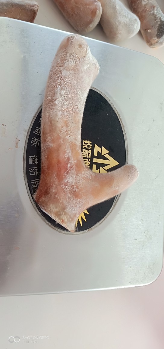 梅花鹿小克鹿茸。