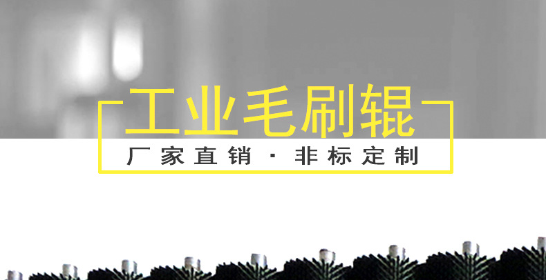 工业毛刷辊 (1).jpg
