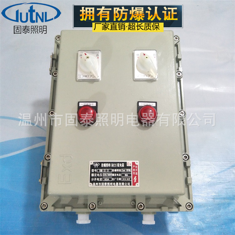 BXK-A2K2排污泵粉尘防爆控制箱 400*500*200 可按要求定制