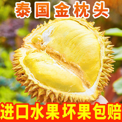 【现货包邮 缺重包赔】金枕头榴莲 泰国带壳新鲜果专业做榴莲代发|ms